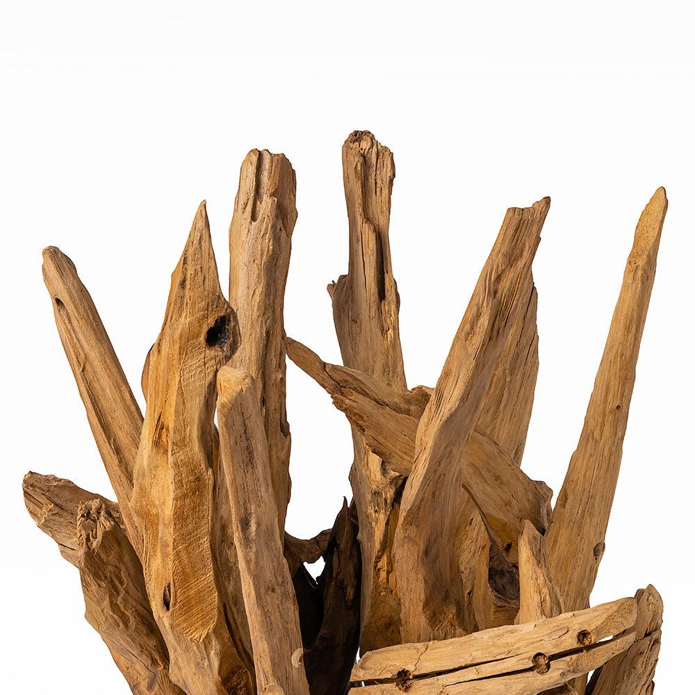 Nottingham Forest Teak Root Table Lamp